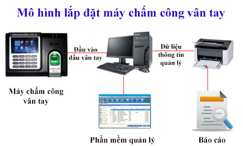 mo-hinh-lap-dat-may-cham-cong-van-tay